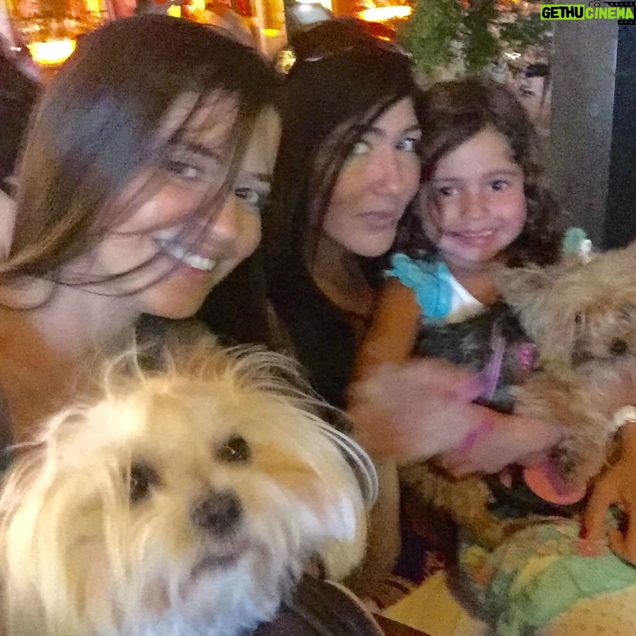 Kary Musa - 141 Likes - My dear baby Motika,
15 years were not enough time but I thank you from the bottom of my heart for choosing me as your mama. You were the best furry baby anyone can wish for. Thank you my angel Marco for gifting her to me and please take care of her up there🙏🏻Thank you Tika for all the unconditional love to me and all my friends and family. We will all miss you forever, this pain is too much…🥺💕 Rest in peace my angel Motika Musa 2009-2024😇🙏🏻
Manita & Mamita.