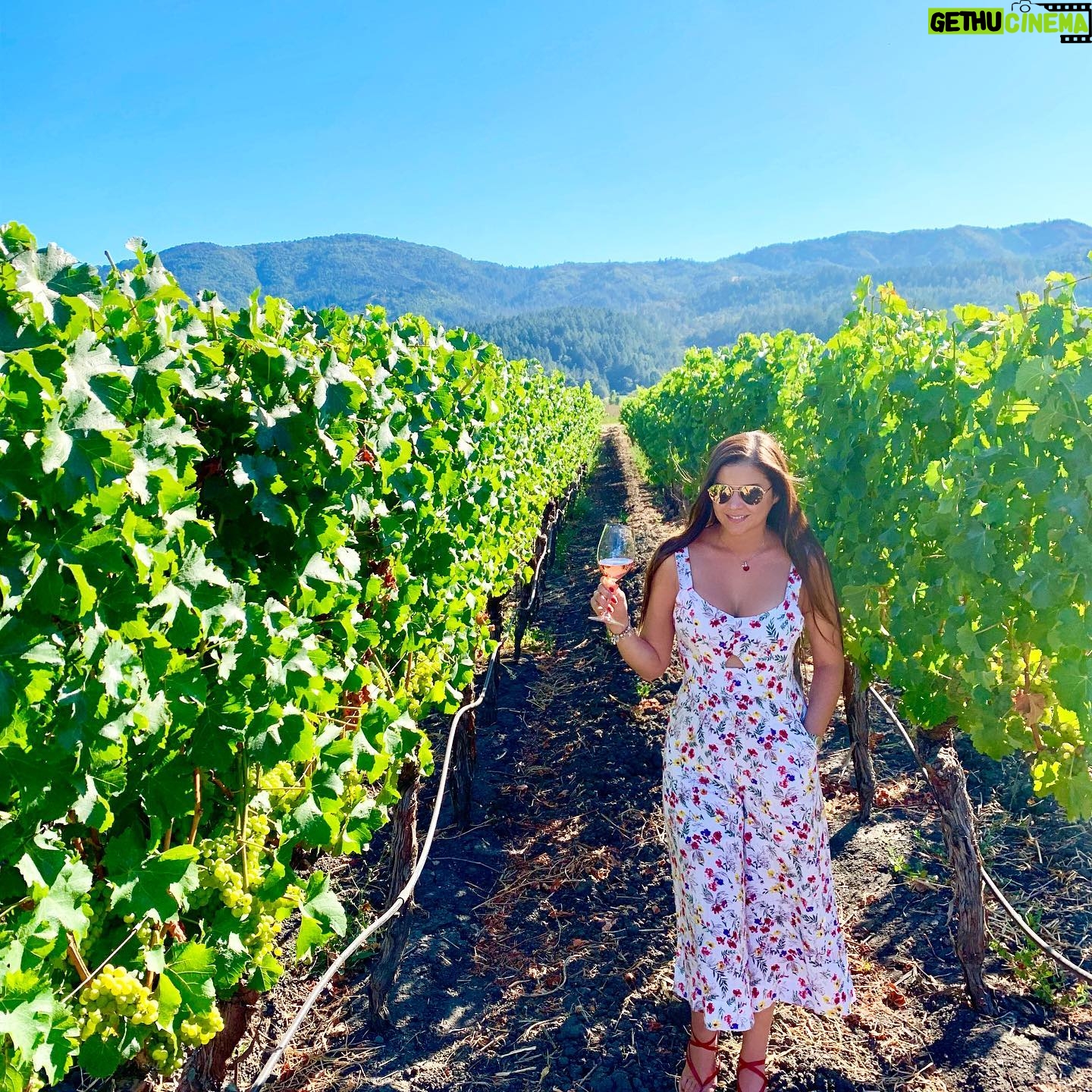 Kary Musa - 376 Likes - Thank You Napa, see you again soon!🙏🏻❤️🍷 #napavalley