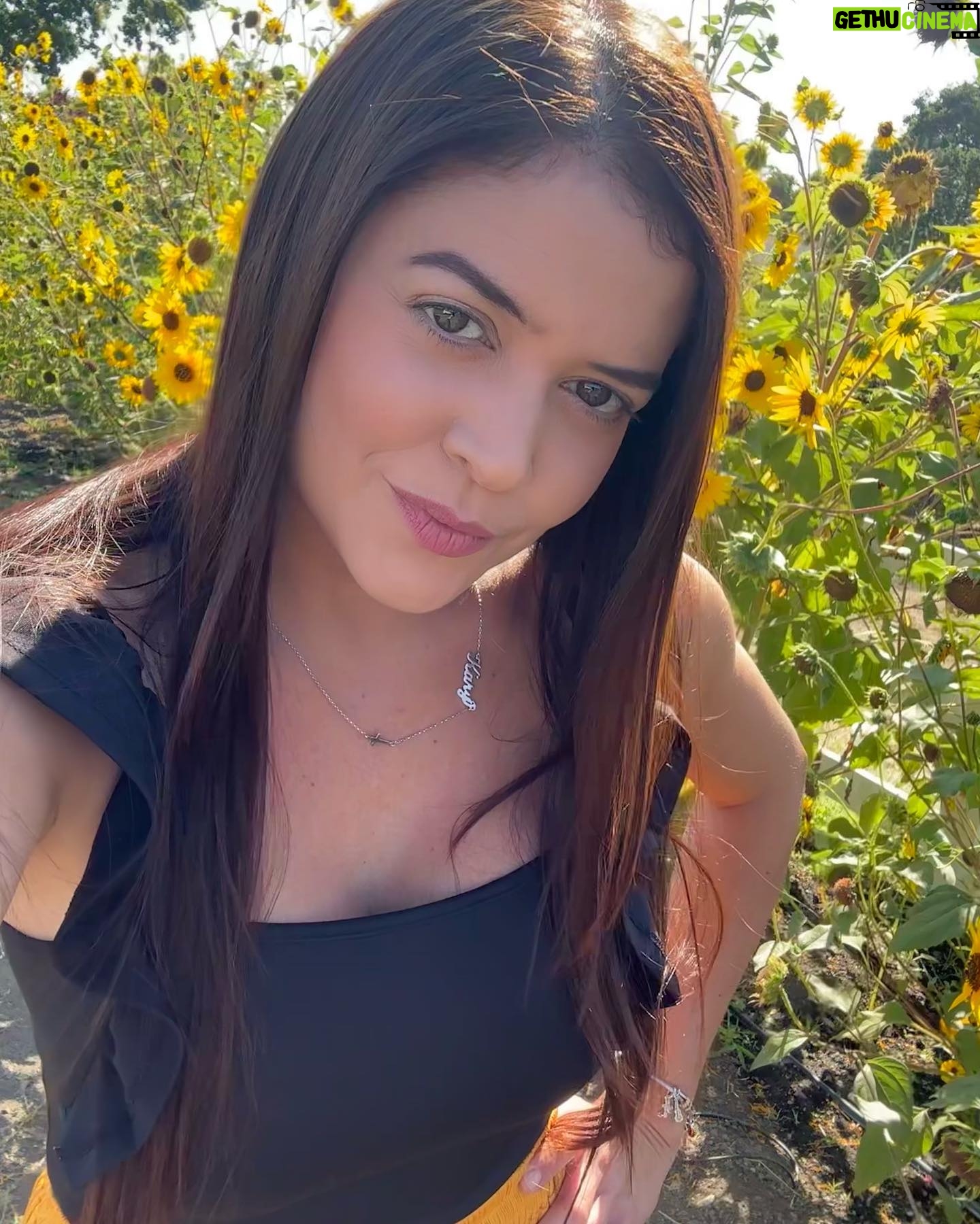 Kary Musa - 105 Likes - I don’t even have to buy myself flowers ‘cause they are free here and everywhere I go!!!!!!!!💃🏻❤️😍 #flowers #napa #love