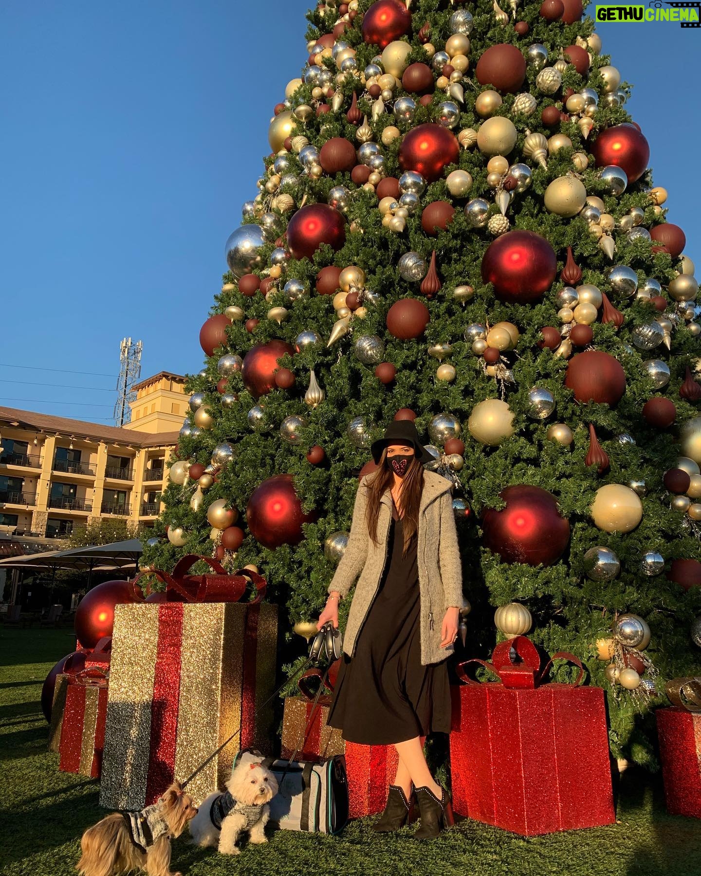 Kary Musa - 188 Likes - Happy Holidays!!! @motikamanita