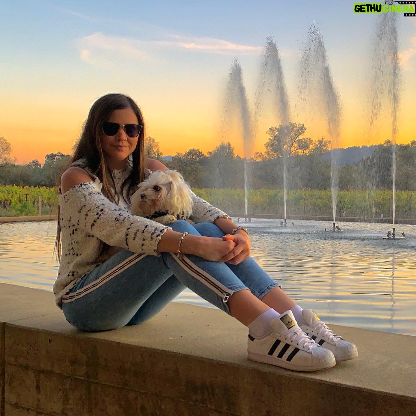Kary Musa - 270 Likes - Magical Napa🙏🏻 @motikamanita #happysunday