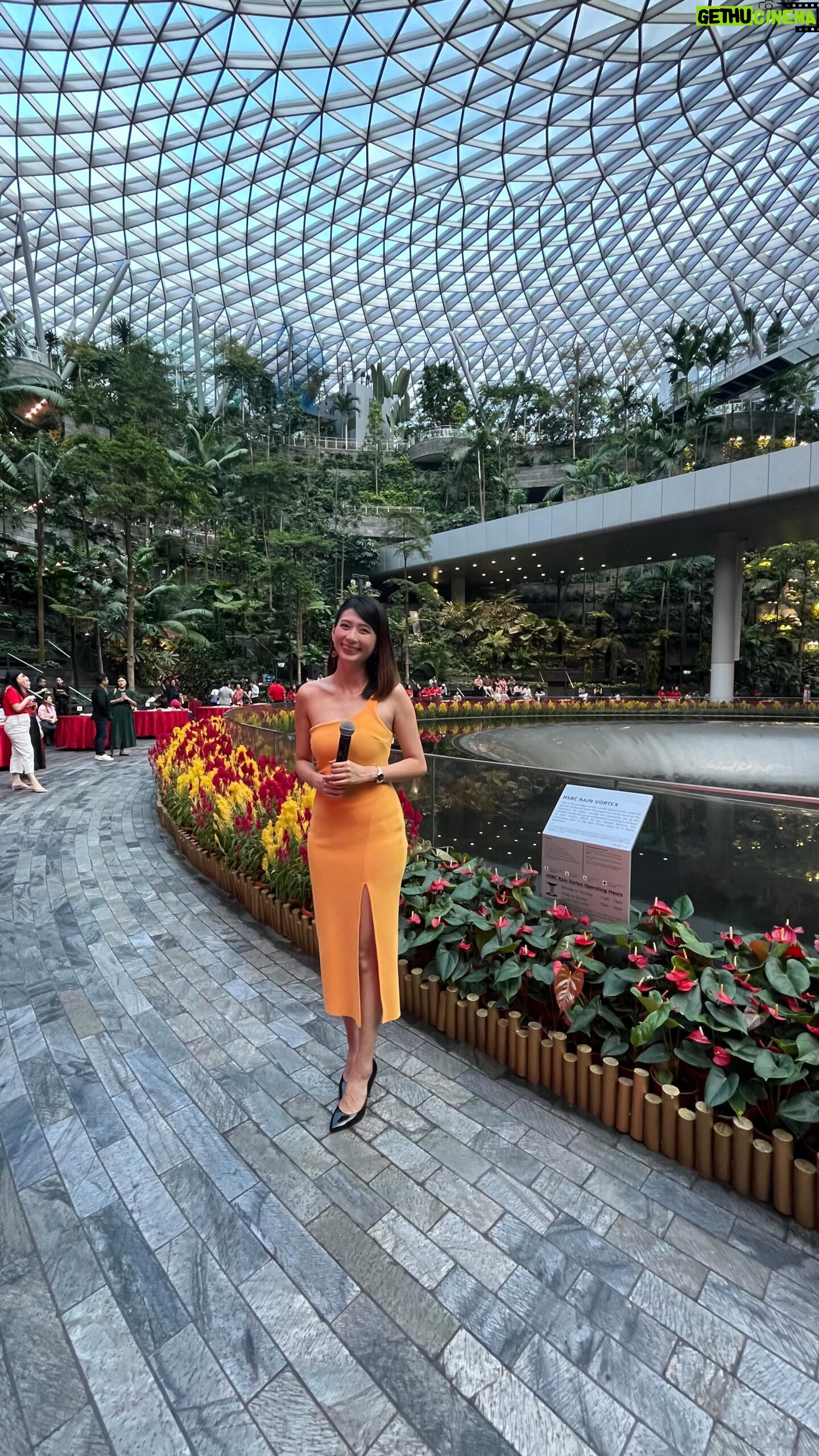 Karyn Wong - 620 Likes - When hosting brings me amazing experiences 🥹
Watching videos of myself host always gives me the cringe 😖 and I always like to judge myself on how I can do better - posture, enunciation, tonality, choice of words etc. But I need to constantly remind myself that as I do that, I also need to remember the encouragement from people when they came up to say “good job”, and the joy that I experience from getting the opportunity to do all these amazing things. 🧡🧡🧡
This is a throwback video to @jewelchangiairport partners and tenants lohei event. Can’t thank them enough (hello Amanda, yes I thank you very much ☺️) for trusting me to do this first event with you guys. Also the team from @noontalk_media for running the show so smoothly and of course, @flyentertains the best team that helps me take care of everything pre- and post- event so I can focus on doing my job well.
Don’t worry if you’re cringing over these hosting videos hahahahaha — because I’ll continue to post them 😎😎 then y’all can watch and be with me on this journey to improve hehe. They say it (or rather, I) will get better. I hope so! 🔥🔥🔥🔥
Dress rented from @rentadella
Shoes worn since forever from @oleah.co
