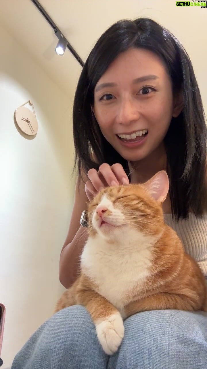 Karyn Wong - 408 Likes - Just arrived at my air bnb and she immediately became my boss. Thanks guys for giving me cat tips, I was so scared she that she was angry at me when she meowed at me!
Ok back to my digital detox hahah I shall attempt to up my level of independence with this solo trip 😉 wish me luck hahaha.