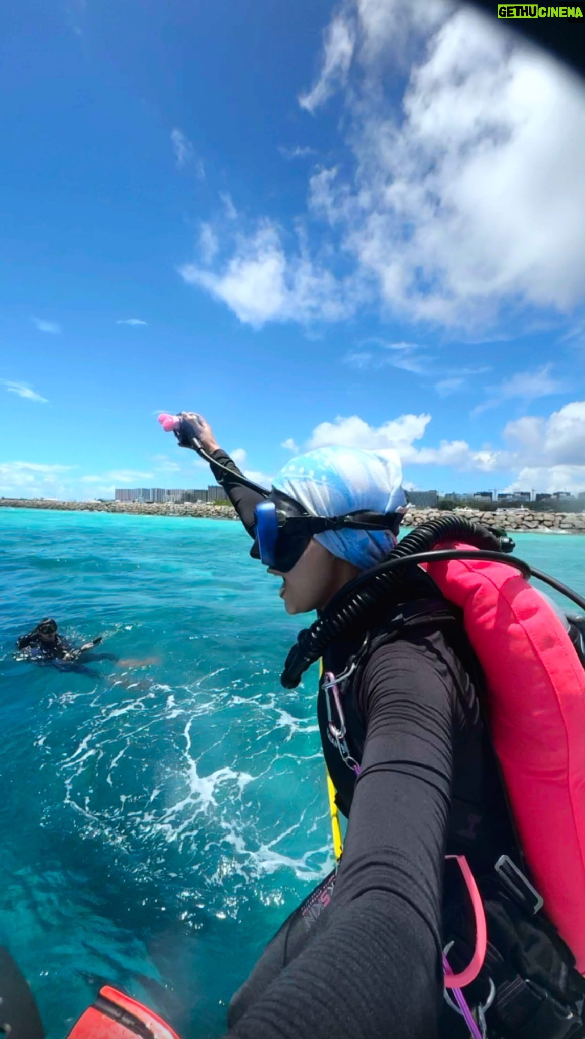 Karyn Wong - 1.4K Likes - Blue time = good time 💙🦈🐟🪼🐠💦🩵