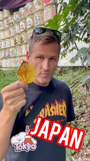 Kaskade Instagram - 🇯🇵 ❤️
