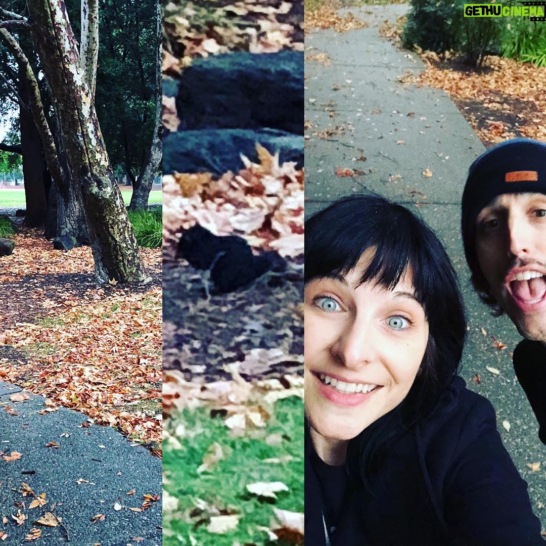 Kat Brower - 112 Likes - Squirrels!