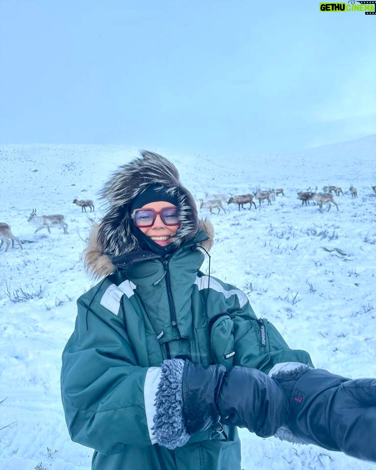Katariina Souri - 3.2K Likes - Mikä mahtava, ikimuistoinen päivä tunturissa! Ajettiin moottorikelkoilla parikymmentä kilometriä suuntaansa poroja hoitamaan 🥰
Kiitos tästäkin huikeasta kokemuksesta rakkaat ystävät Niti ja Mia Vasara ❤️🥰🙏 Ootte ihan parhaita. Ei voisi lomalta enempää toivoa.
Ripsivärit taas poskilla mut who cares!! 😂😂
@arcticlandadventure #kilpisjärvi @katariina.souri