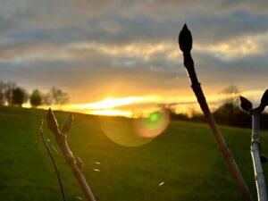 Kate Rusby Instagram - Spring Hope!! 🌸🌱

After the lashing we’ve had the last few days I needed to remind myself Mother Nature is just waiting, gathering strength, will be hurried by no human, just there biding her time patiently, ready to burst into life! 😃☀️🌿🌳🌷🌻🌺🌿
Chin up! ❤️
“Every little thing is going to be alright” 🥰