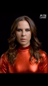 Actress Kate del Castillo HD Instagram Photos and Wallpapers July 2024