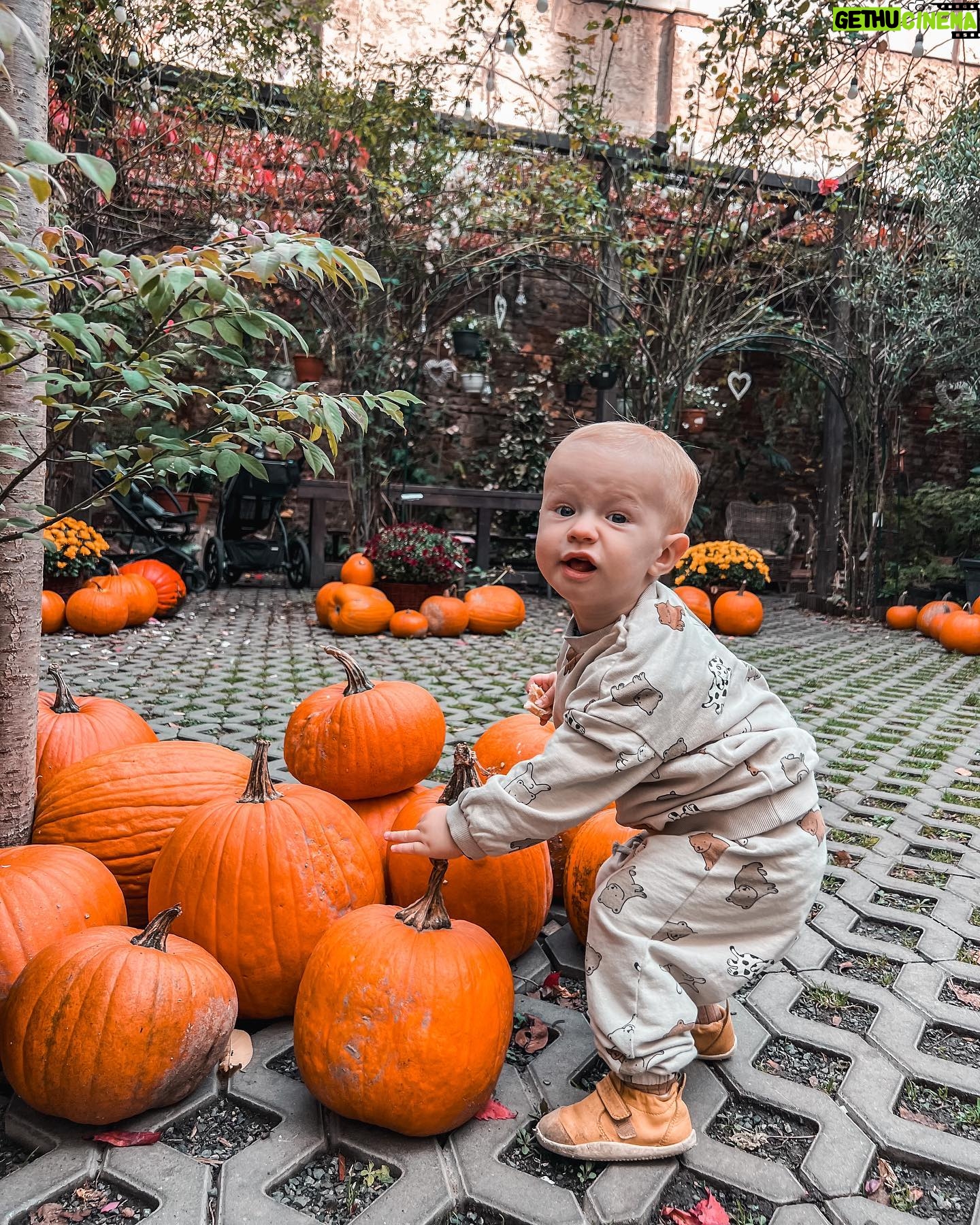 Kateřina Koubová - 570 Likes - Dýňe time 🎃
#dyne #autumn #time #mood #friends #besties #kids #baby #max #pumpkin #coffee #truck #mamas #love