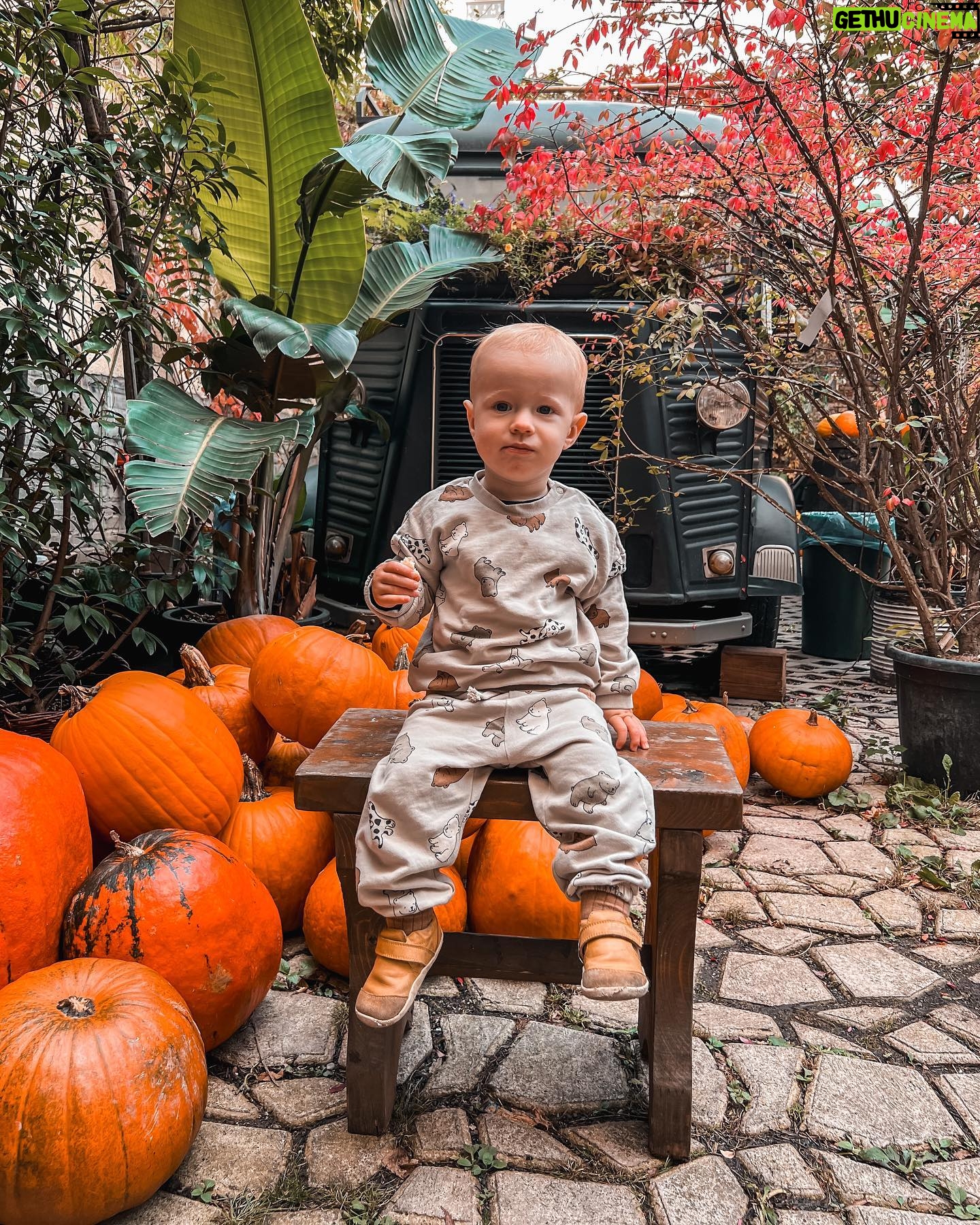 Kateřina Koubová - 570 Likes - Dýňe time 🎃
#dyne #autumn #time #mood #friends #besties #kids #baby #max #pumpkin #coffee #truck #mamas #love