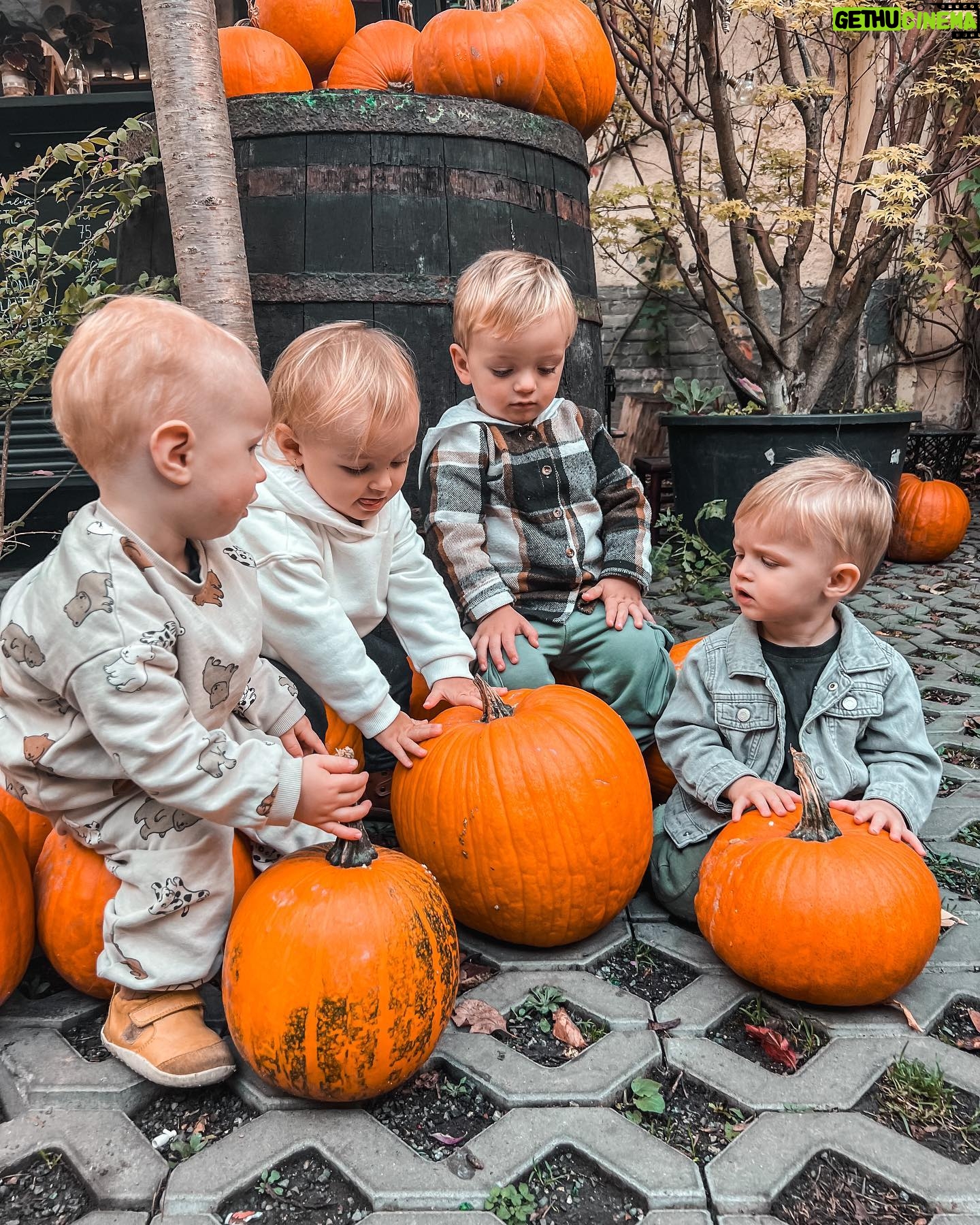 Kateřina Koubová - 570 Likes - Dýňe time 🎃
#dyne #autumn #time #mood #friends #besties #kids #baby #max #pumpkin #coffee #truck #mamas #love