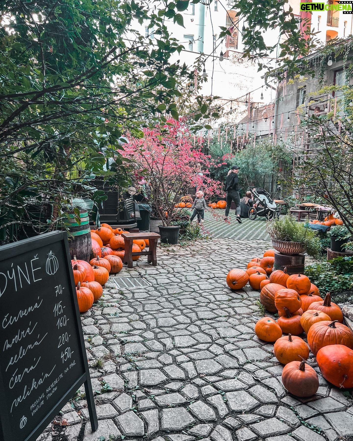 Kateřina Koubová - 570 Likes - Dýňe time 🎃
#dyne #autumn #time #mood #friends #besties #kids #baby #max #pumpkin #coffee #truck #mamas #love