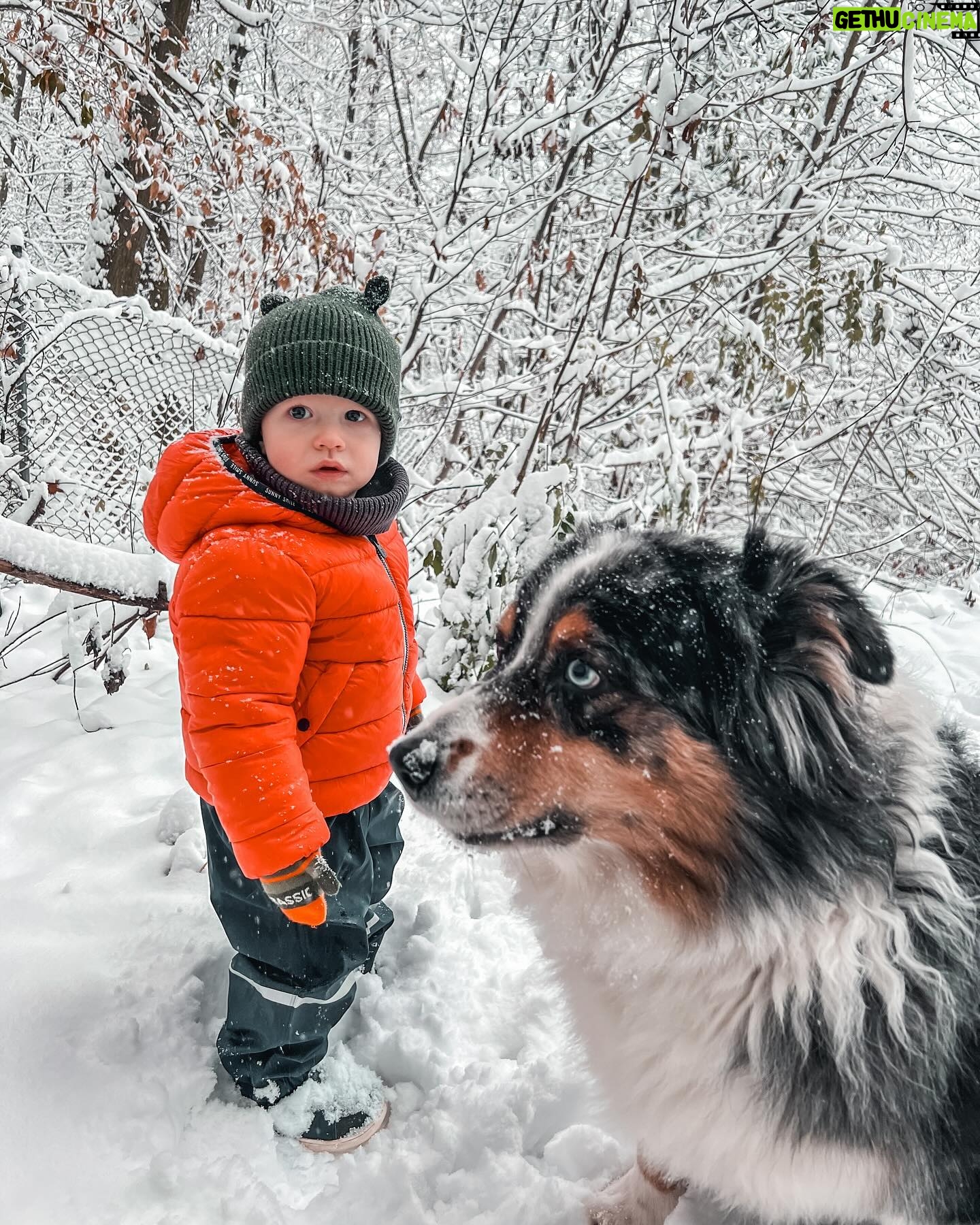 Kateřina Koubová - 599 Likes - Ach, to je pohádka ❄️ Radosti, rudé tváře, tři zuby venku, sníh je nejlepší k jídlu, boby jsou top, všichni unavený 🙏🏻 #miluju
#czech #prague #snow #firsttime #love #myboys #friends #dog #aussie #australianshepherd #max #charlie #winter