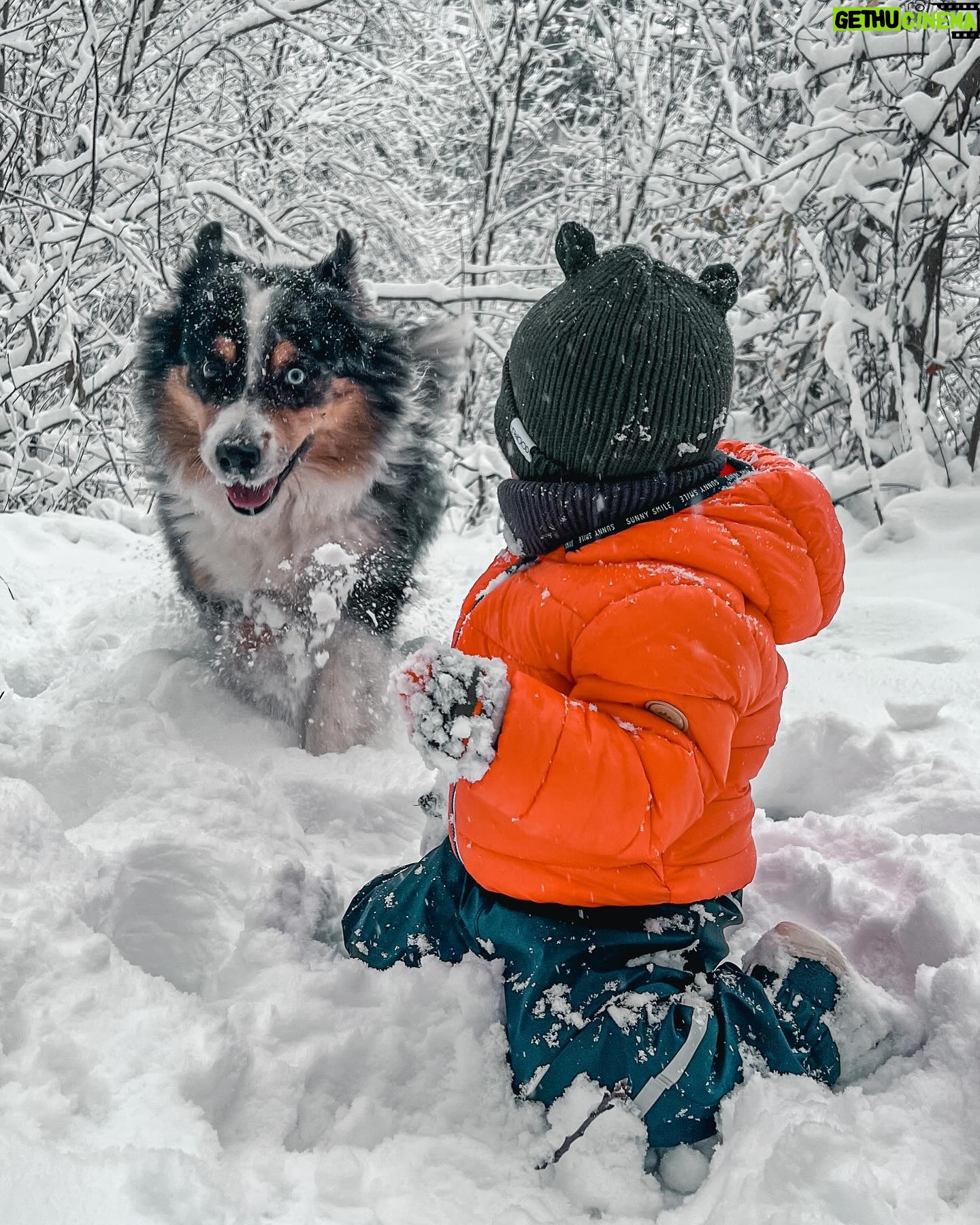 Kateřina Koubová - 599 Likes - Ach, to je pohádka ❄️ Radosti, rudé tváře, tři zuby venku, sníh je nejlepší k jídlu, boby jsou top, všichni unavený 🙏🏻 #miluju
#czech #prague #snow #firsttime #love #myboys #friends #dog #aussie #australianshepherd #max #charlie #winter
