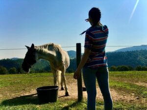 Kateřina Marie Fialová Instagram - Je to trochu komplikovanější doba.. stres.. nervy.. strach.. nejen pracovní.. však víme všichni. ALE!  Vyhlížím lepší zítřky. I s koněm 🐎. Užívám si natáčení @hvezdynadhlavou_ dokud.. 17.9. JSi budu užívat #cikanijdoudonebe.  21.9. JSi budu užívat záskok v #procmuzineposlouchajiazenyneumicistvmapach @abckomedierokoko ,  22.9. JSi budu užívat další záskok v @abckomedierokoko #elefantazie  24.9. JSi budu užívat představení v @abckomedierokoko #vojnaamír 
věřím, ze to všechno klapne!.. 🙏🏻🙏🏻🙏🏻🙏🏻🙏🏻🙏🏻🙏🏻🙏🏻🙏🏻🙏🏻🙏🏻🙏🏻 

Opatrujte se.. 💛💛💛 

#besafe #bestrong #butdontbescared #cultureforus
