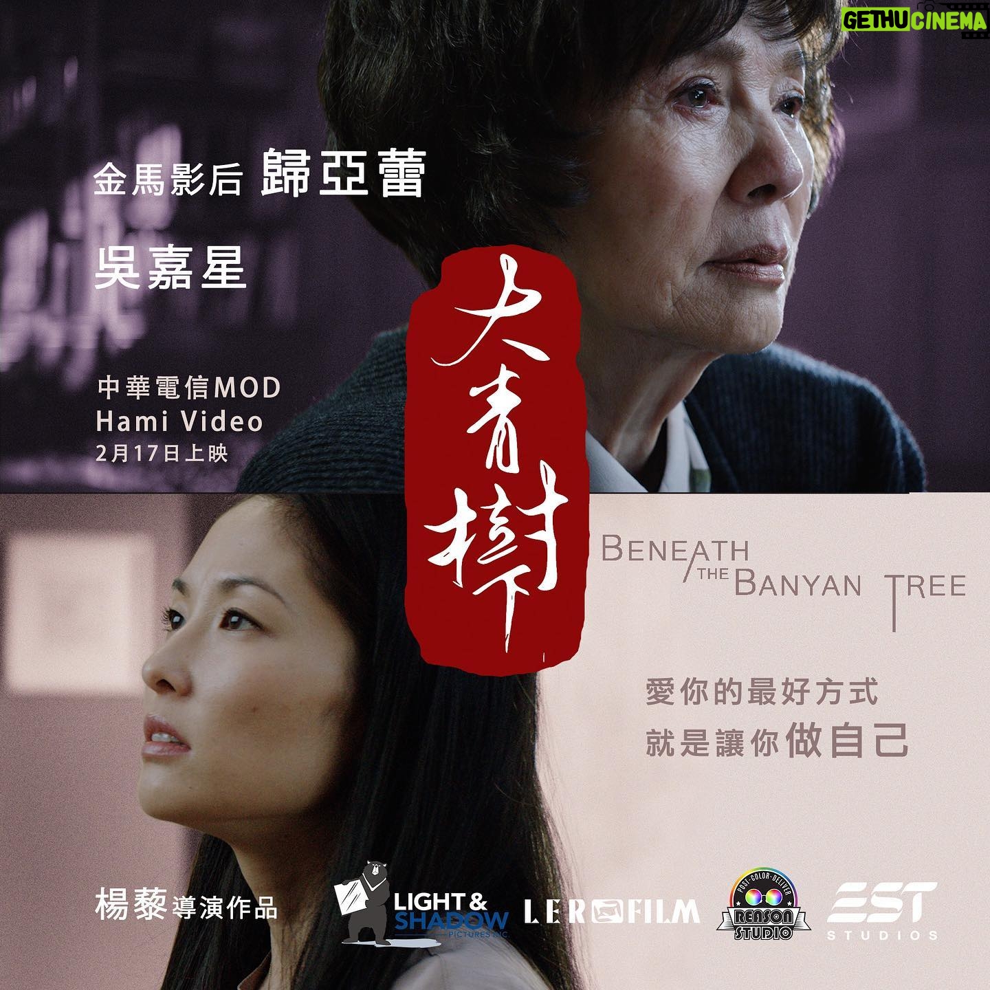Kathy Wu - 120 Likes - š£@banyantreemovie Taiwan Release countdown!
ć大é樹äøćå°ē£äøē·åčØę, äøå¤©! ęę©ļ¼éč«å°ē£ēęååå¤å¤å¹«åæč·č¦Ŗååäŗ«å²ļ¼
é馬影å #ęøäŗč¾ é éäø»ę¼ļ¼äø¦ččÆč£åƦå儳ę Kathy Wu #å³åę å
±åäø»ę¼čÆč£ē§»ę°ēę
äŗćē¾å½å°ē£ Light&Shadow Pictures Inc čÆå製ä½ļ¼
ē·Øåå°ę¼ @naniliyang
製ē@Troy Chiu , Yue Wang
ęå Edwin Beckenbach
ē¾č” HanRui Wang
åŖč¼Æ Mengle Han, Jifu Jeff Li , Lerfilm INC..
č²é³ Jifu Jeff Li
é³ęØ Wei-San Hsu
é”č² Reason Studio
å°ę¼å©ē David TW Yu
å
±ååŗę¼ @Ying Xie , Travis Goodman, James Taku Leung, @Demi Ke , @JiaYu Wang , Miles Tagtmeyer, @cameron duckett @Felix Scotty