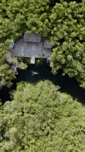 Katia Repina Instagram - Playing in the jungle #dji #drone #mexico #tulum #cenote