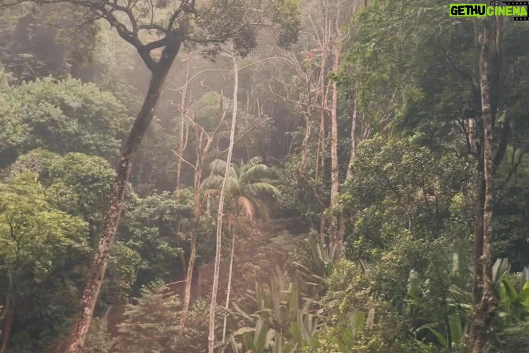 Katia Repina - 3 Likes - Postcards from Rio & jungle poetry
#riosejaneiro #brazil #jungle #dji #drone #dronephotography