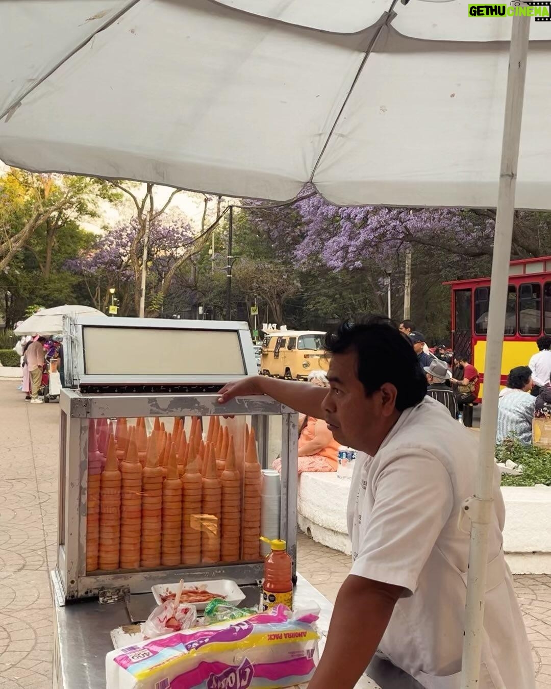 Katia Repina - 3 Likes - Glimpses of CDMX’s magic 🌹
#mexicocity #cdmx #mexico #photooftheday