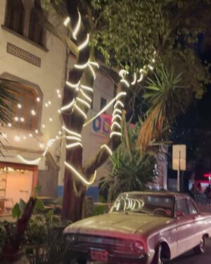 Katia Repina Instagram - Glimpses of CDMX’s magic 🌹 

#mexicocity #cdmx #mexico #photooftheday