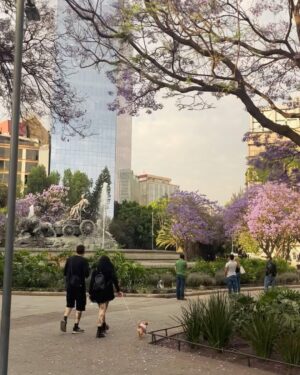 Katia Repina Instagram - Glimpses of CDMX’s magic 🌹 

#mexicocity #cdmx #mexico #photooftheday