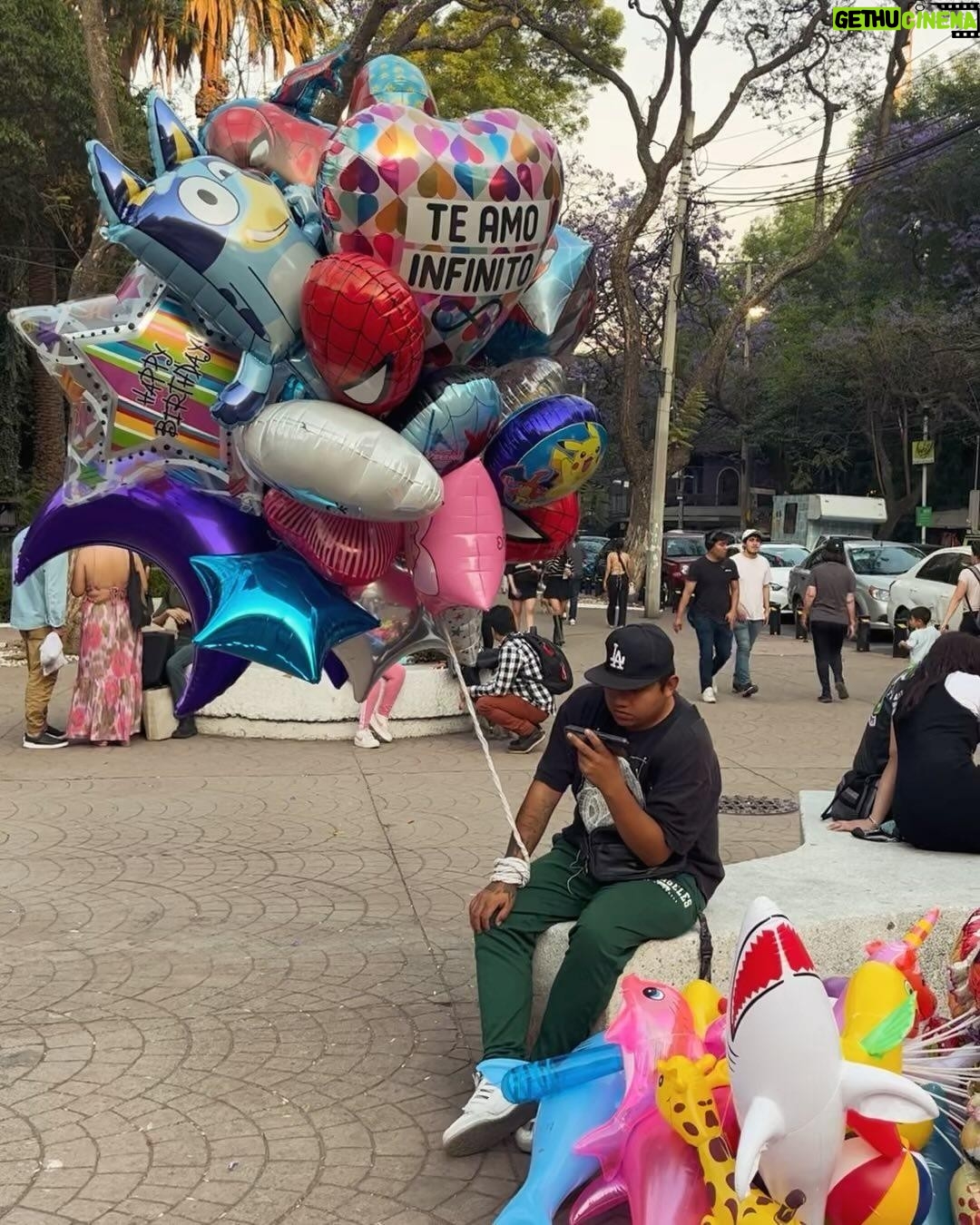 Katia Repina - 3 Likes - Glimpses of CDMX’s magic 🌹
#mexicocity #cdmx #mexico #photooftheday