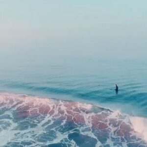 Katia Repina Instagram - Ode to ocean & sunrise ❤️ #losangeles #la