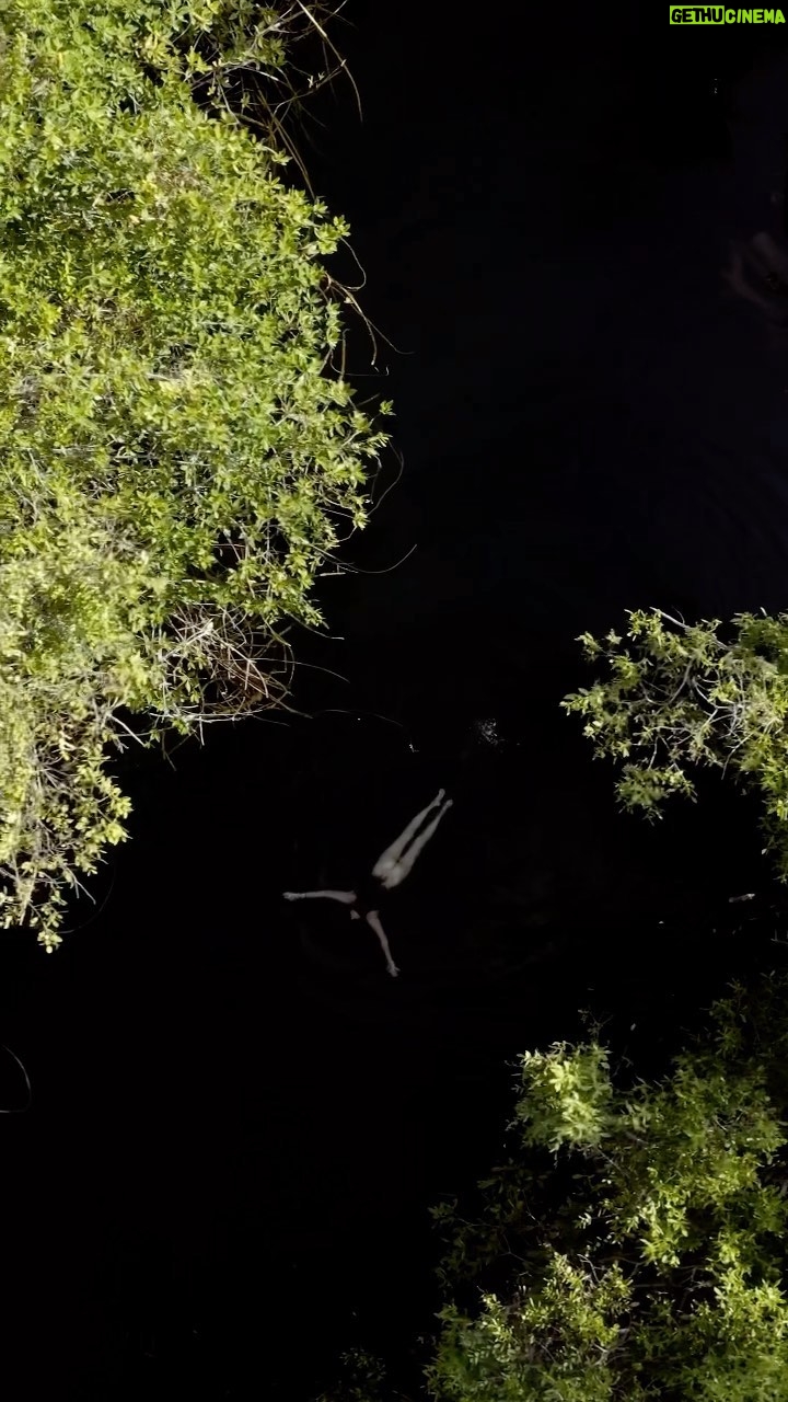 Katia Repina - 63.9K Likes - Feeling alive ❤️ #dji #drone #tulum #cent #mexico #alive