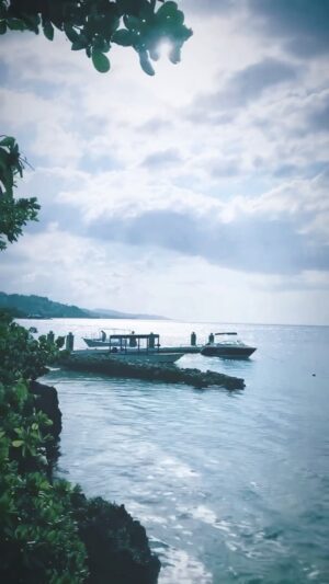Katia Repina Instagram - Jungle & Ocean obsessed ❤️ #jamaica #montegobay #video #jungle #ocean