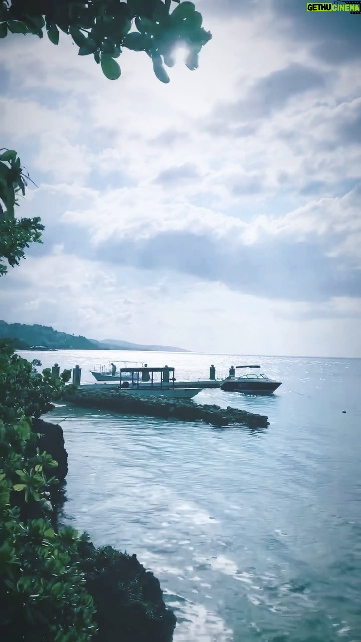 Katia Repina - 245 Likes - Jungle & Ocean obsessed ❤️ #jamaica #montegobay #video #jungle #ocean