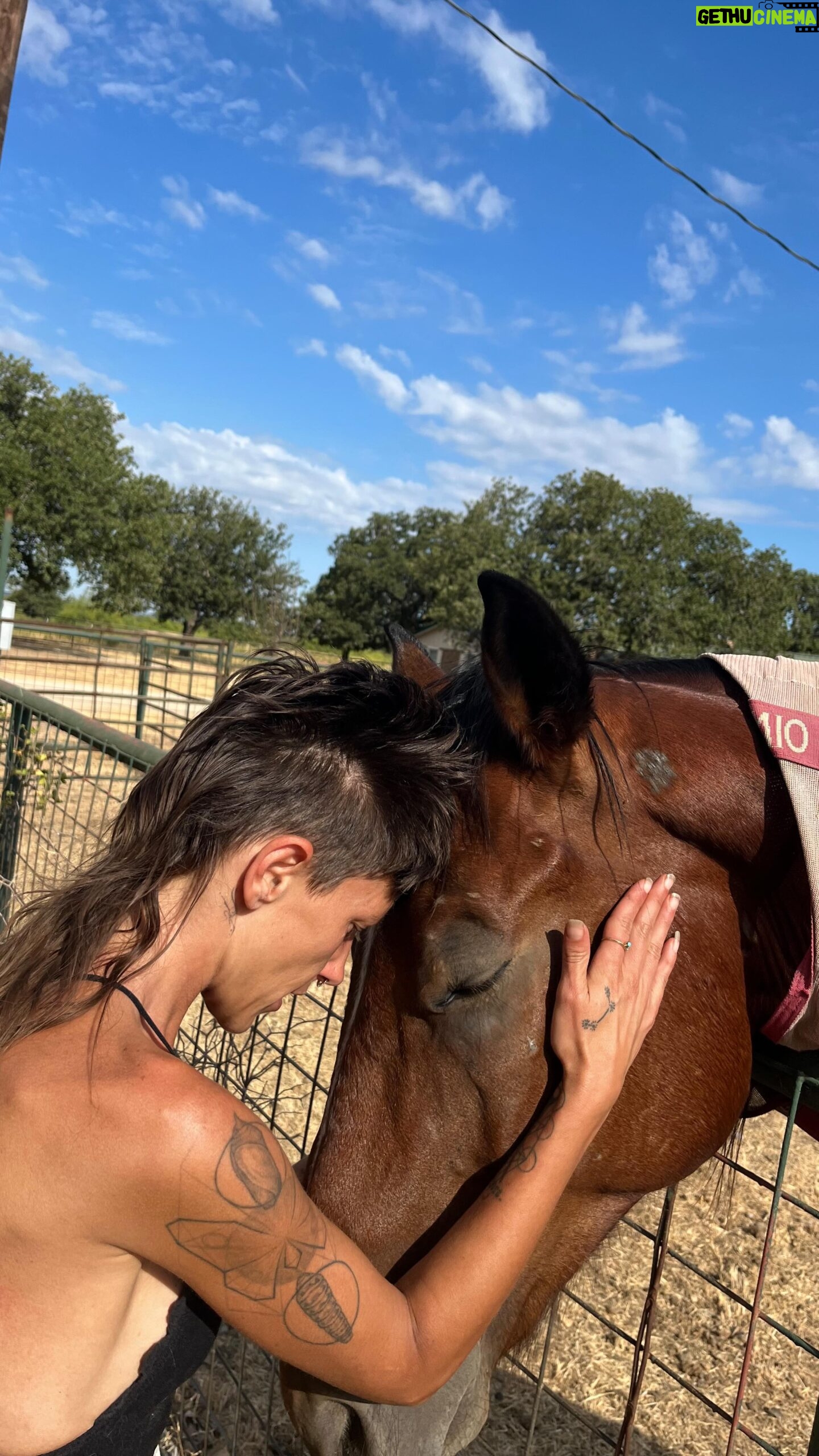 Katia Repina - 73 Likes - under the Texas sun 🐴🦄
.
.
.
.
#texas #horse #horses #wild #photography #photooftheday #ride #donkey