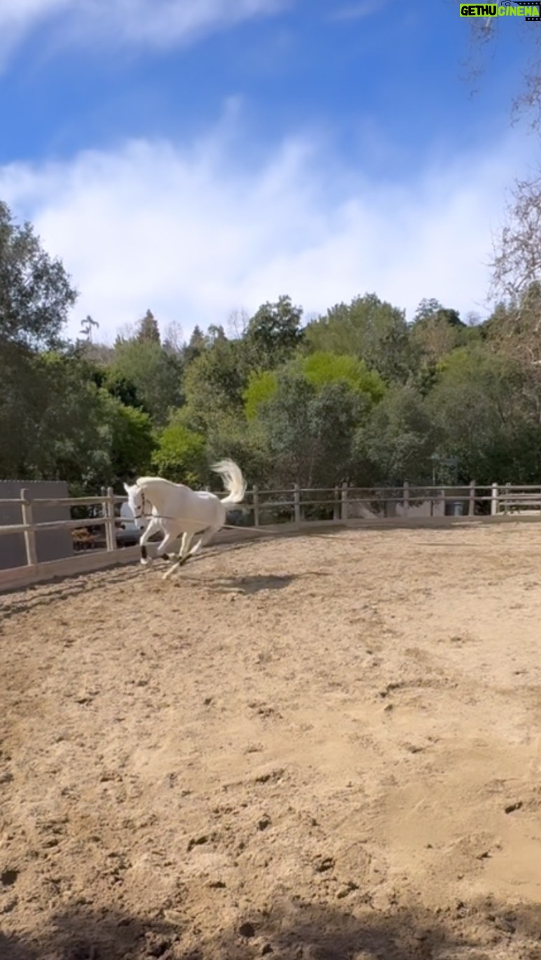 Katie Nehra - 3 Likes - This ain’t Texas…a reminder to kick your heels up one in a while!