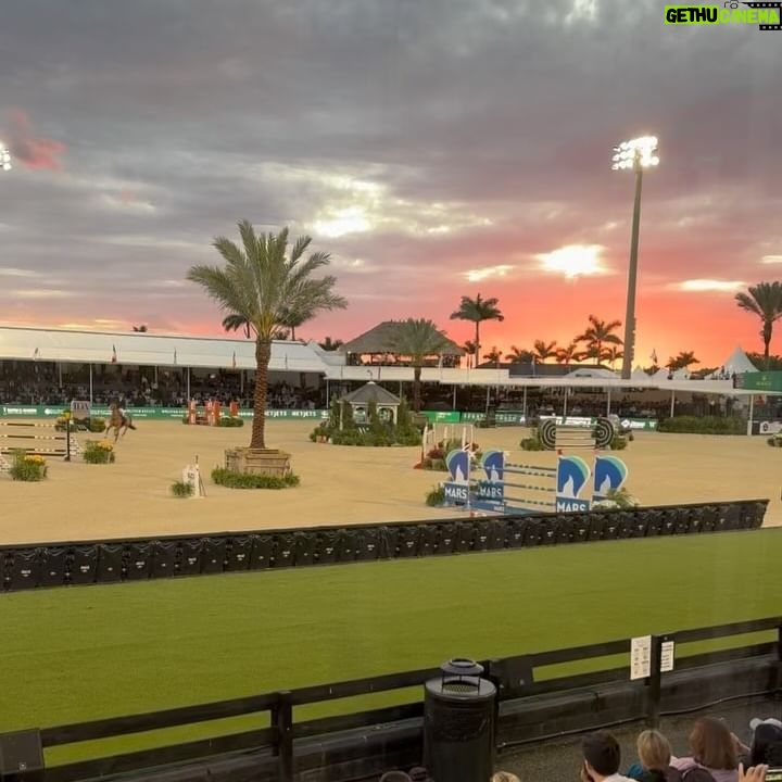 Katie Nehra - 3 Likes - Thank you @hermes @carlscrush and Kate for the most magical time at the Hermès 1.50m Series Final Classic @wellingtoninternational_wef
-PS Bag not included 🐎🐎🐎