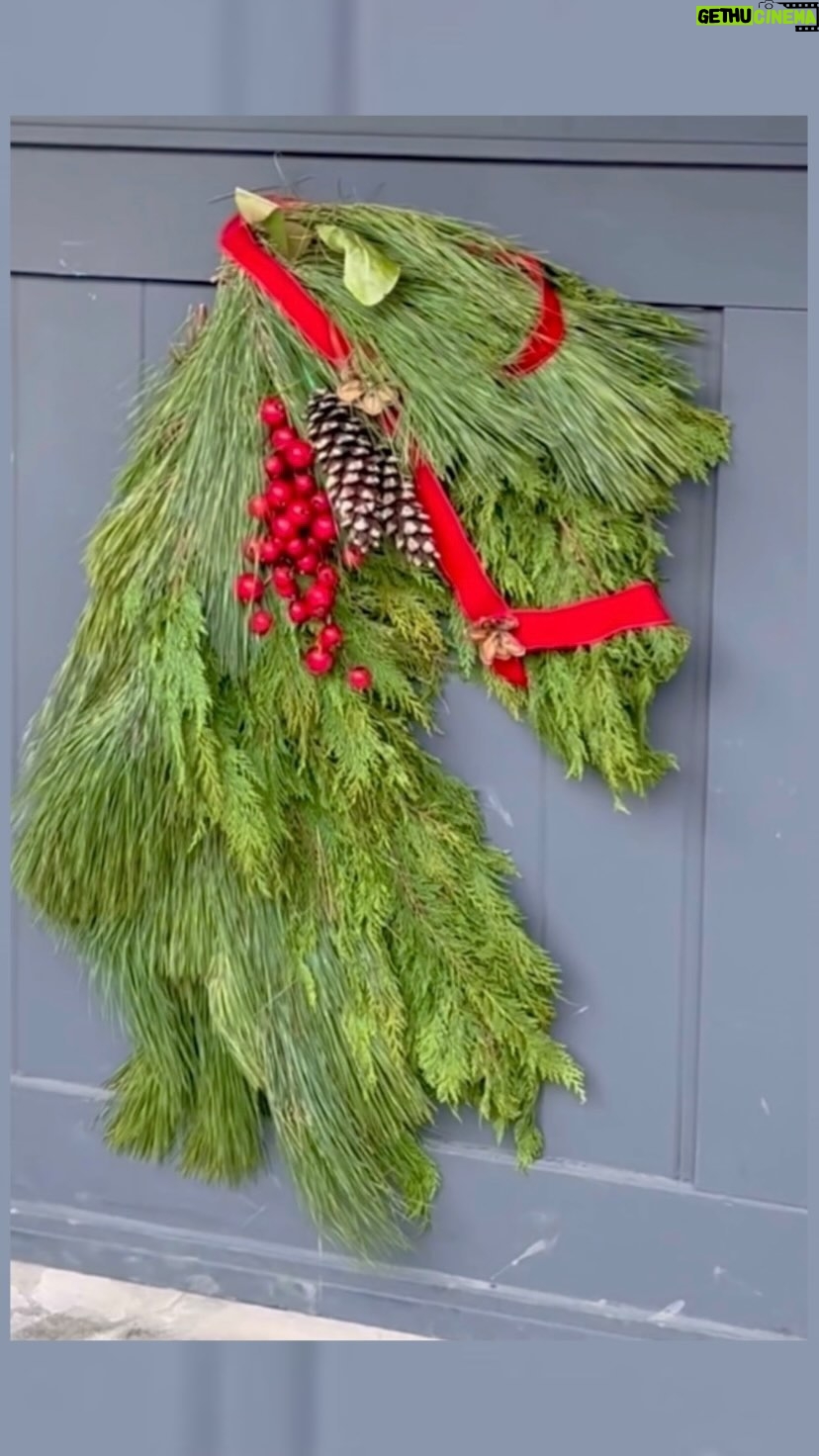 Katie Nehra - 3 Likes - New home, new traditions 🐎 🎄♥️