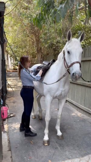 Katie Nehra Instagram - Tacking up 🐎 

Tack is equipment or accessories equipped on horses.

This equipment includes such items as saddles, stirrups, bridles, halters, reins, bits, and harnesses. Equipping a horse is often referred to as tacking up, and involves putting the tack equipment on the horse. PS  I still have trouble with the bridle!