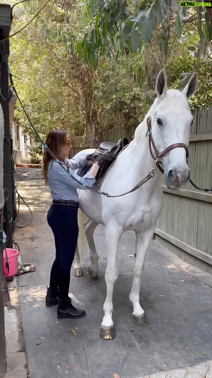 Katie Nehra - 3 Likes - Tacking up 🐎
Tack is equipment or accessories equipped on horses.
This equipment includes such items as saddles, stirrups, bridles, halters, reins, bits, and harnesses. Equipping a horse is often referred to as tacking up, and involves putting the tack equipment on the horse. PS I still have trouble with the bridle!