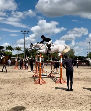 Katie Nehra Instagram - Thank you @hermes @carlscrush and Kate for the most magical time at the Hermès 1.50m Series Final Classic @wellingtoninternational_wef 
-PS Bag not included 🐎🐎🐎