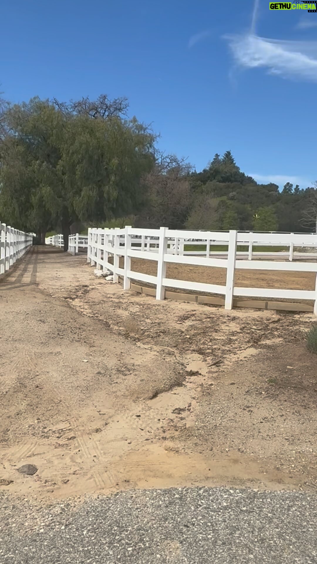 Katie Nehra - 3 Likes - A magical place…El Campeon Farms. 🐐