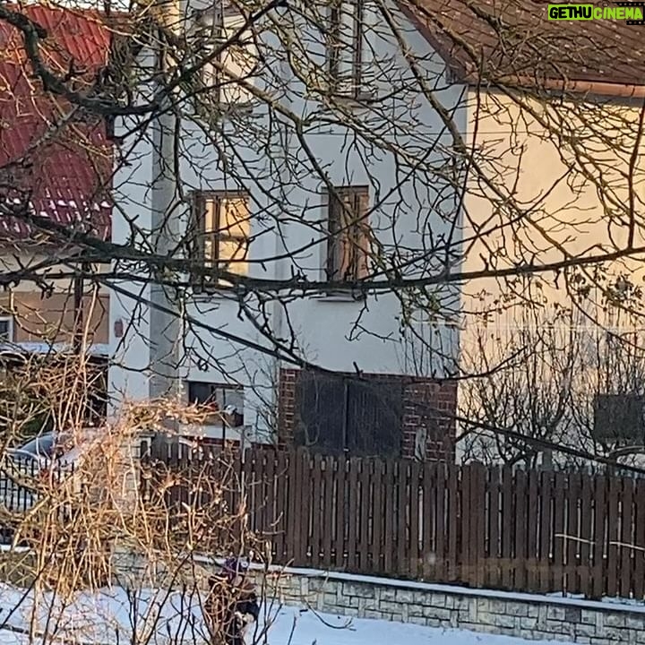 Katka Koščová - 1.6K Likes - Neviem, či si pamätáte ako som v januári poslala Aňu kúpiť bobkový list a ona privliekla smradľavé mača so zapálenými očiskami.
Ako som povedala, že ostane len kým sa nevylieči…
Ako môj muž hovorí:”Ja somto hovoril! Som mal presný scénar ako to dopadne.”
Hej, no… Muro.
Tak ja len, že ho ľúbime.❤️❤️❤️
#murothecat #annathesavior #radostaznakost