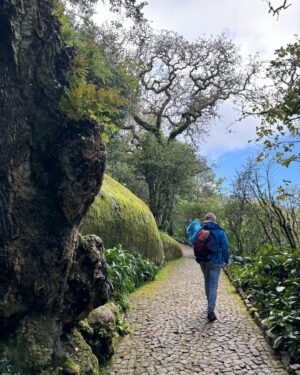 Katka Koščová Instagram - Sintra kamaráti. To je taký dychberúci Disneyland pre dospelých, ale vlastne aj pre detiská. Bez otravnej hudby, bez otrávených sprievodcov, nádherné nikdy nekončiace parky plné obrovských platanov, sekvojí, paliem, popretkávané chutnými kľukatými chodníčkami, miliónmi schodísk, ukrytých vežičiek, mostov, jazierok, vodopádov, lavičiek… Pripadala som si ako v Pánovi prsteňov, ako v Roklinke. Aj keď tie paláce a vily sú postavené veľmi eklekticky a v rôznych historizujúcich štýloch (reálne to bolo vystavané v 18., 19. a 20.stor.) častokrát máte pocit, že ste v novom príbehu alebo ozaj v kulisách nejakého filmu s elfmi. Čarovné to bolo, aj fyzicky ozaj náročné. Celé sme to dali pešo, decká skuvíňali, 110 poschodí nám to ukázalo len k palácu Pena.🤭 Ale ja som teda nadšená, fakt to bol zážitok, tak ak si dávate Lisabon na aspoň 4 dni, tak Sintru nevynechajte.😘
#sintra #portugal #radostaznakost