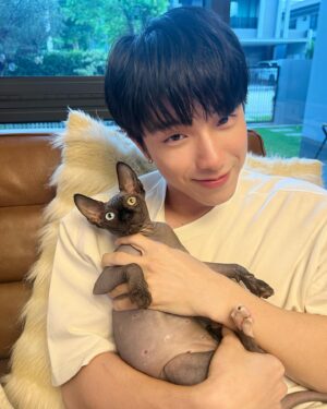 Kay Lertsittichai Instagram - ฝากน้องเอญ่าด้วยนะงับ🐱😍
ปล.สปอนน้องได้นะครับ5555