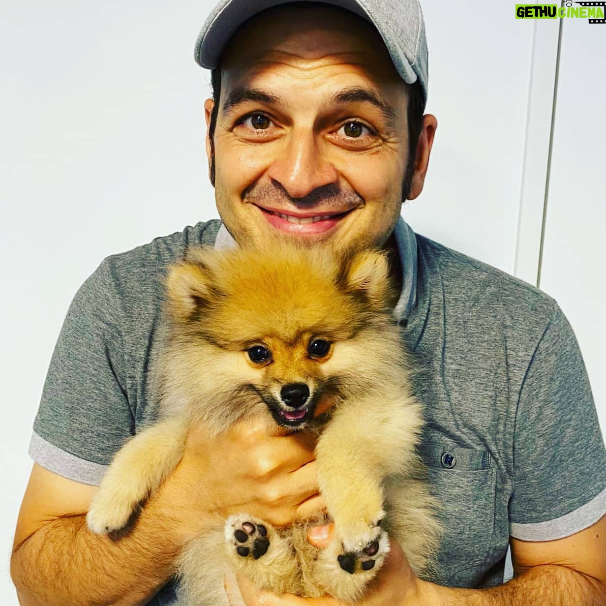 Kaya Yanar - 9.8K Likes - Das ist Fritz, er ist Spitz,
isst er Lakritz, ohne Witz
furzt er auf den Rücksitz.