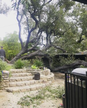 Kaylee DeFer Instagram - Our 200 yr old wedding tree was taken out by the storm early this morning. So crazy to watch something older than most other living things on this earth just fall down. Everyone is safe. We’re just a little shaken up. We’re fortunate her branches were so wide they caught at multiple points on the roof. Otherwise, she would’ve fallen straight through our boys rooms. Be safe. Cali is crumbling.