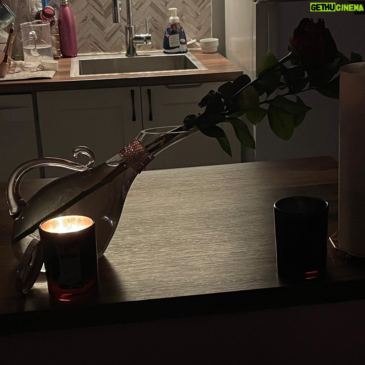 Kayshia Fils-Aimé - 3 Likes - What Does It Mean When A Rose Never Fades Away..?