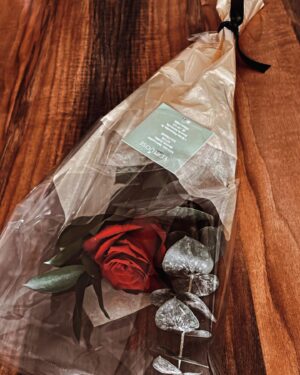 Kayshia Fils-Aimé Instagram - 𝚃𝚃𝚈𝙻, 𝓜𝓸𝓷 𝓐𝓶𝓸𝓾𝓻🥀