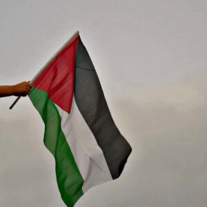 Kazu Makino Instagram - cease fire cease fire cease fire please cease fire stop this carnage. prosecute the men in suits for war crimes. boycott the companies that endorse israeli occupation. it is reaching the point of no return. it is insanity it is genocide .  #freepalestine  all these silencing and looking away led to ethnic cleansing. Under occupation, if it is not Hamas, there will be others …. this is about anyone who thinks they are better than the others….or do anything at all cost for real state. Israel won’t be free until Palestine is. human rights does not stop at borders religions nor races. #ceasefire #stopgenocide #warcrime international law is not optional.