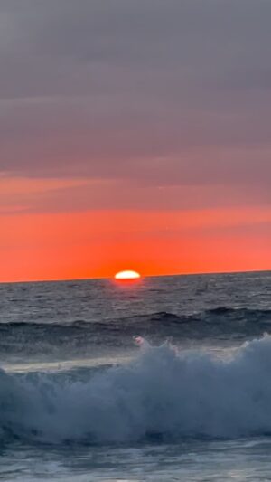 Kazu Makino Instagram - 教授、私はあの日何も知らずにこの日没を見ていました。でもきれいでしょう？　夕焼け、教授のように素晴らしかった．大変だったね、本当に苦労したね。物の哀れと言っていたけど、まだいなくなっちゃったということがわからないでいます。どうか空ちゃんやネオちゃんを見守って　私にできる事があれば教えてくださいね。あとね、教授が送ってくれたピアノのピースに歌詞とメロディつけたんだけどやりすぎたよなぁととうとう送る勇気が出なくてダメでしょう？