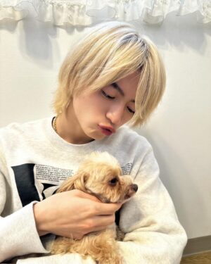 Kazuto Mokudai Instagram - 可愛いすぎたなぁ

こーさくとも戯れました

#わんことこーさくとデート