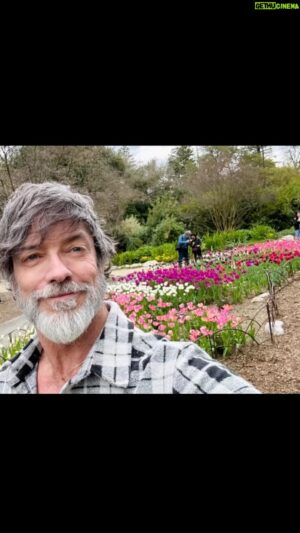 Keith Allan Instagram - FLOWER POWER